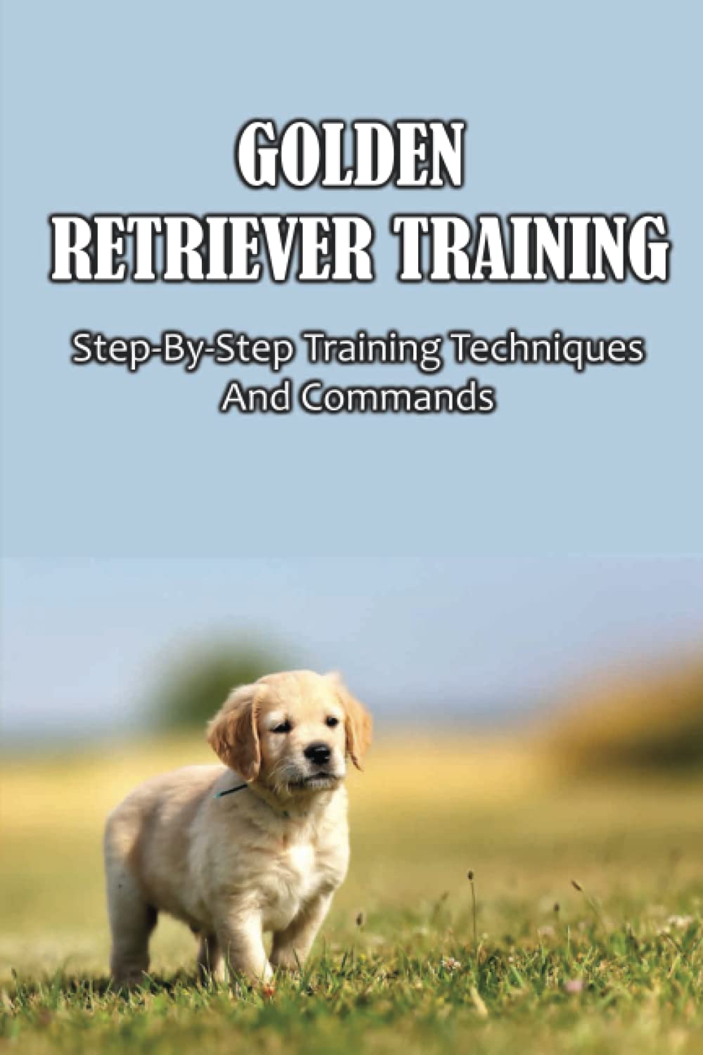 Golden Retriever Training: Step-By-Step Training Techniques And Commands