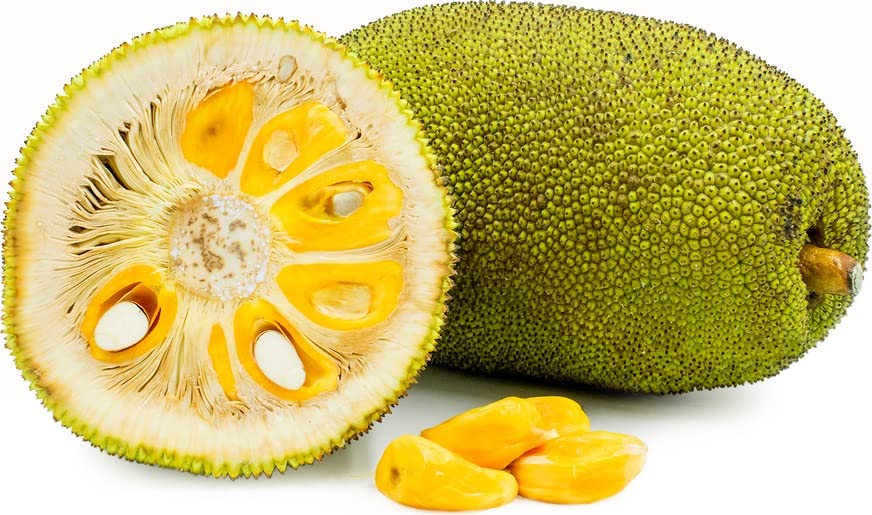 DIARAA Jackfruit Fruit Plant Hybrid Grafted All Seasons Verified Quality Fruit Plant Pack Of 1 Plant In Poly Bag (B0CH841M8T) Amazon Price History, Amazon Price Tracker