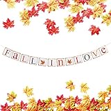 TMYSP FALL IN LOVE Bunting Banner with 150pcs Mixture Artificial Fall Maple Leaves for Proposal Wedding Anniversary Engagement Valentines Day Prom Shower Thanksgiving Party Decor