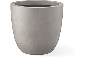 18 Inch Large Round Concrete Planter, the Perfect Home for Your Citrus Trees