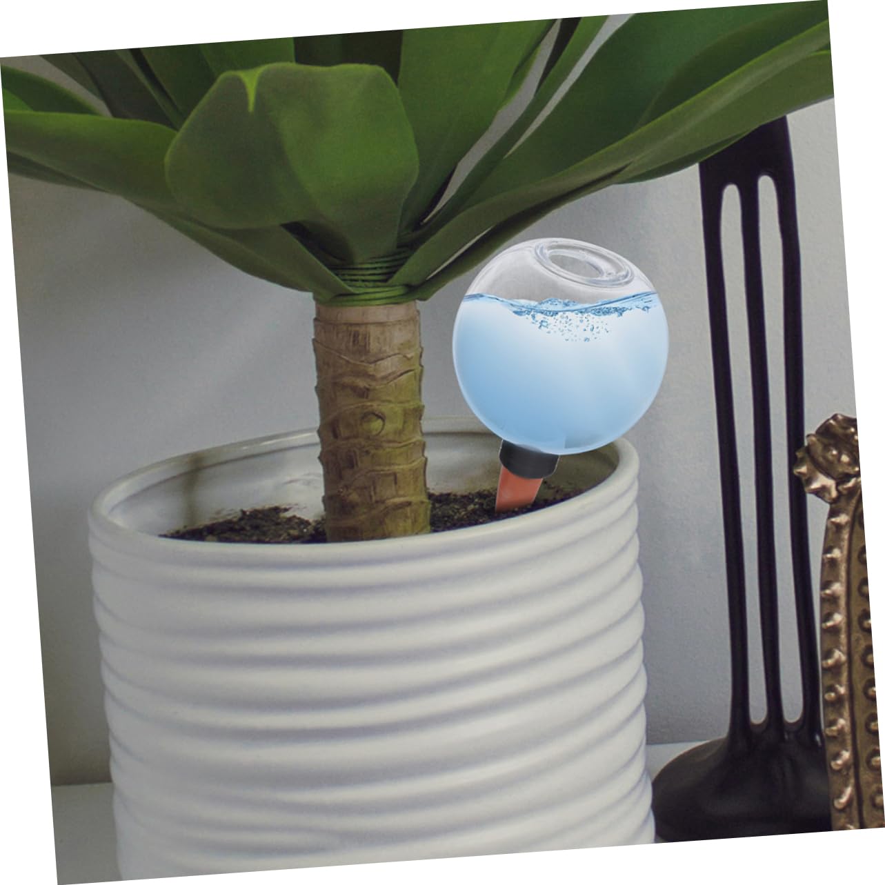 3 Ensembles Globe Arrosage Automatique pour Plantes Dintérieur Extérieur Système Auto Arrosage À Économique Et Durable Distributeur Eau pour Et Potager 2 Pièces * 3