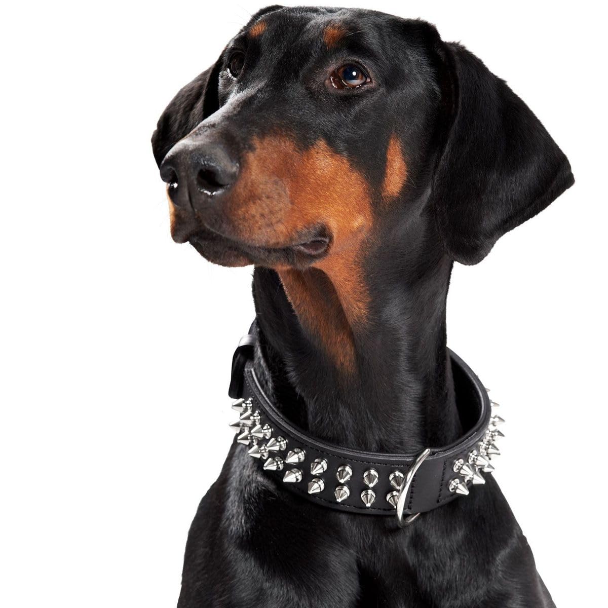 Collar NIQ RAMBOCUERO NG 60