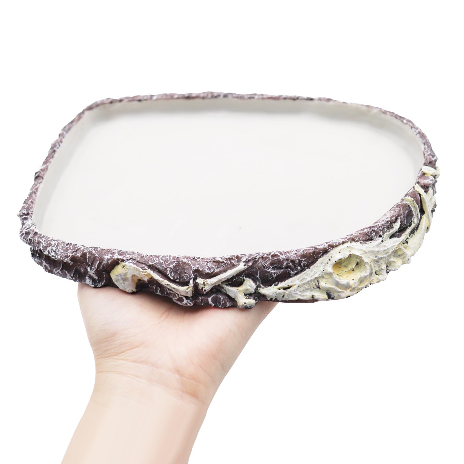 Large Reptile Water Dish, Bearded Dragon Food Bowl, Resin Tortoise Feeder Kit, Aquarium Terrarium Accessories, Feeding Bowl for Amphibian Hermit Crab Turtle Lizard Chameleon Frog - 8 × 6 × 0.8 inch