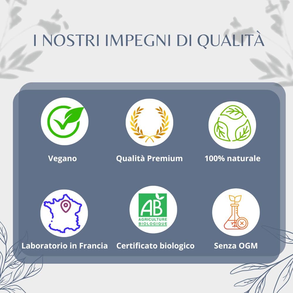 Tisana Melissa Bio Sfusa, Rilassante e Digestiva, Senza Teina, 1kg
