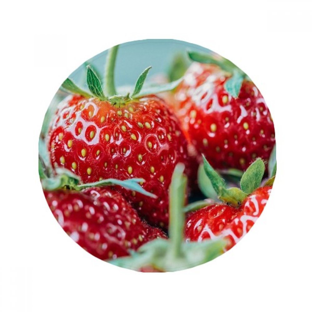 Tapis de sol rond pour animaux fini les glissades tapis antidérapant fraise 50 cm