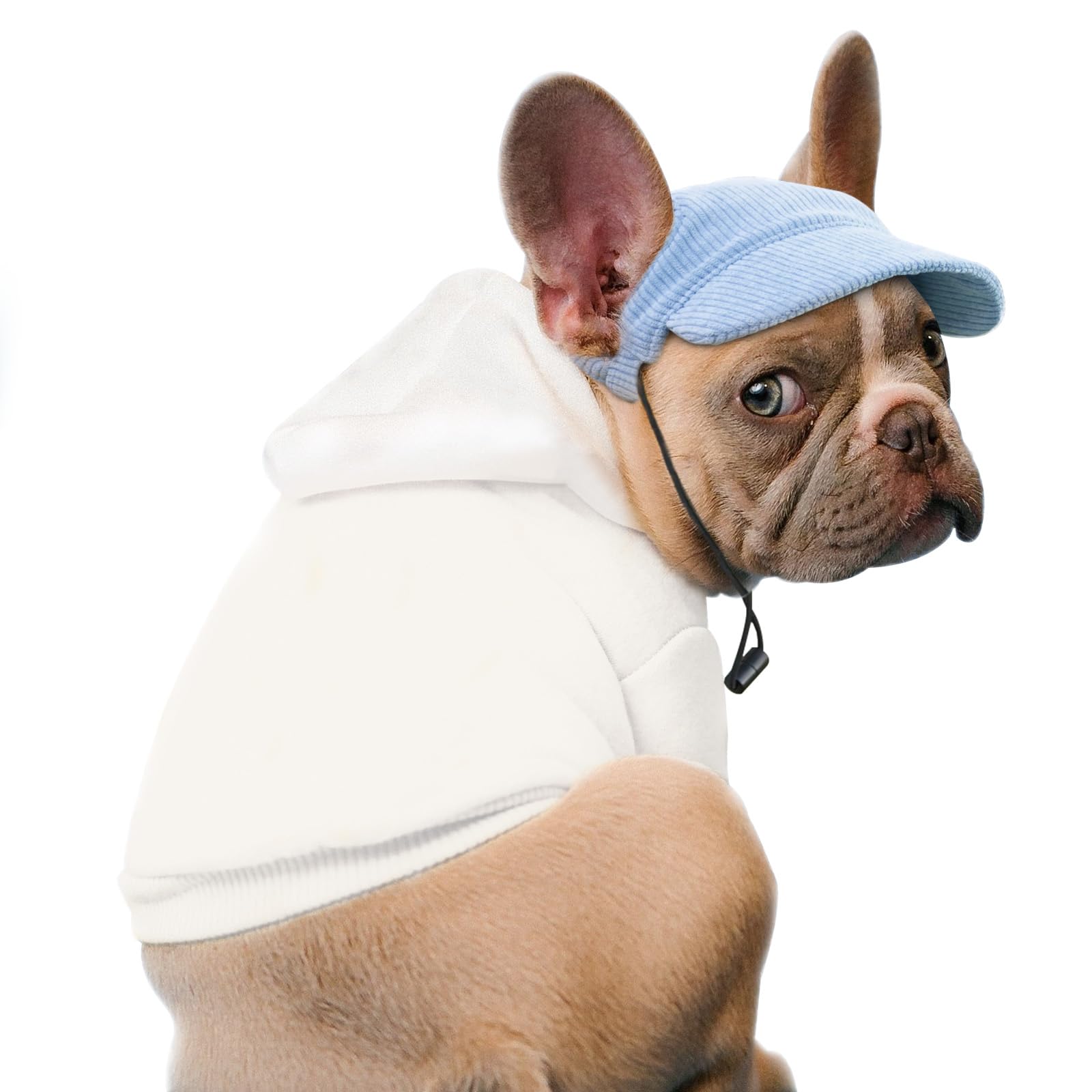 BASVII Cappello da Baseball per Cani in Morbido Velluto a Coste, Dimensioni regolabili, Come Abbigliamento per Cani da Compagnia, per la Decorazione e la Protezione Solare (M, Blu)