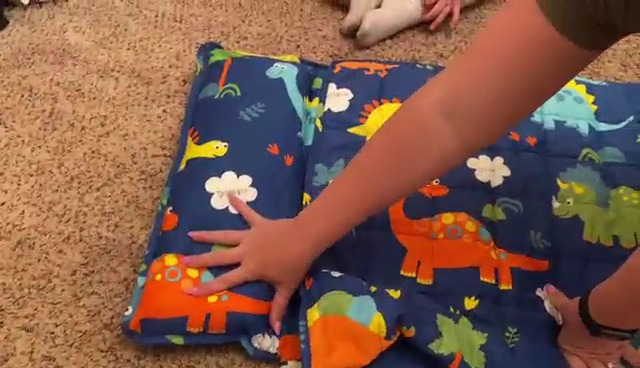 Garlo Kids Nap Mat With Weighted Blanket Or Daycare, Insugar Sleeping Bag With Pillow, Toddler