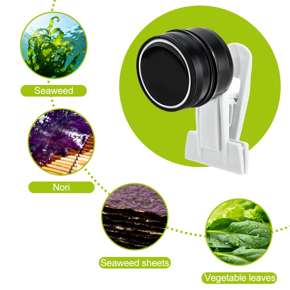Pinces Magnétiques pour Nourrir Les Algues, Pince d'alimentation en Algues, Mangeoire Magnétique pour Aquarium, Distributeur Magnétique d'algues pour Aquarium d'eau Douce et d'eau de Mer