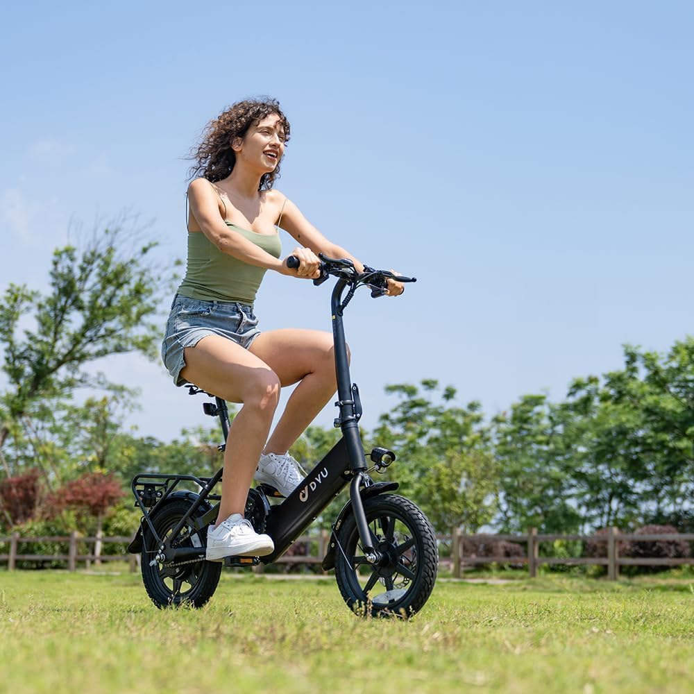 DYU Elektrofahrrad, 14