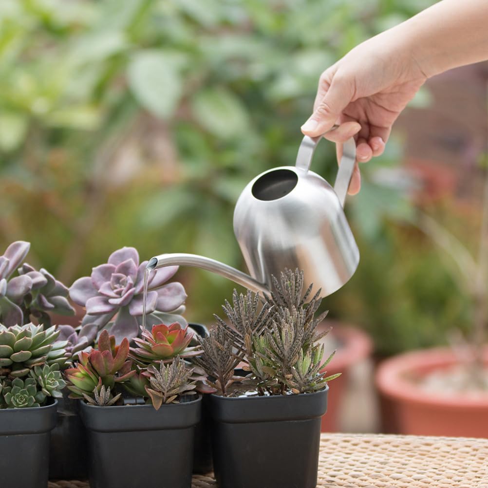 Yardwe Edelstahl Gießkanne 500Ml Für Zimmerpflanzen Indoor Mit Langen Auslauf Zur Präzisen Bewässerung Von Pflanzen Und Blumen Im Garten Und Zuhause