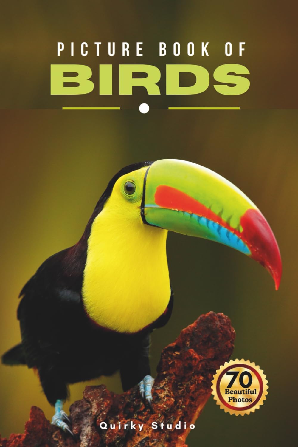 Picture Book of Birds: A Gift Photo Book for Seniors with Dementia, Alzheimer’s, and All Birds Enthusiast