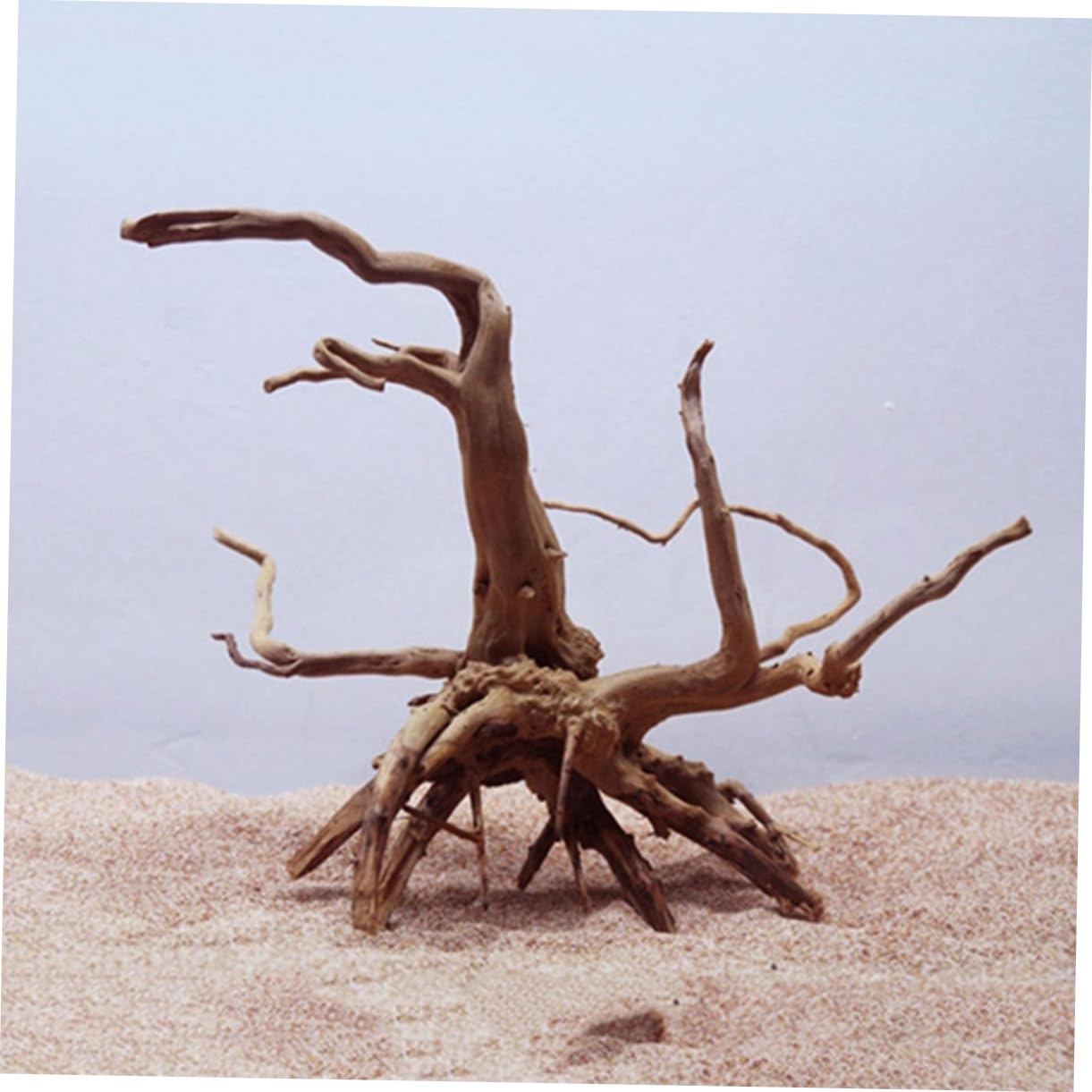 BESPORTBLE Real Wood Driftwood Branch Aquarium Decorations for Tank Unique Shape Size Random Style