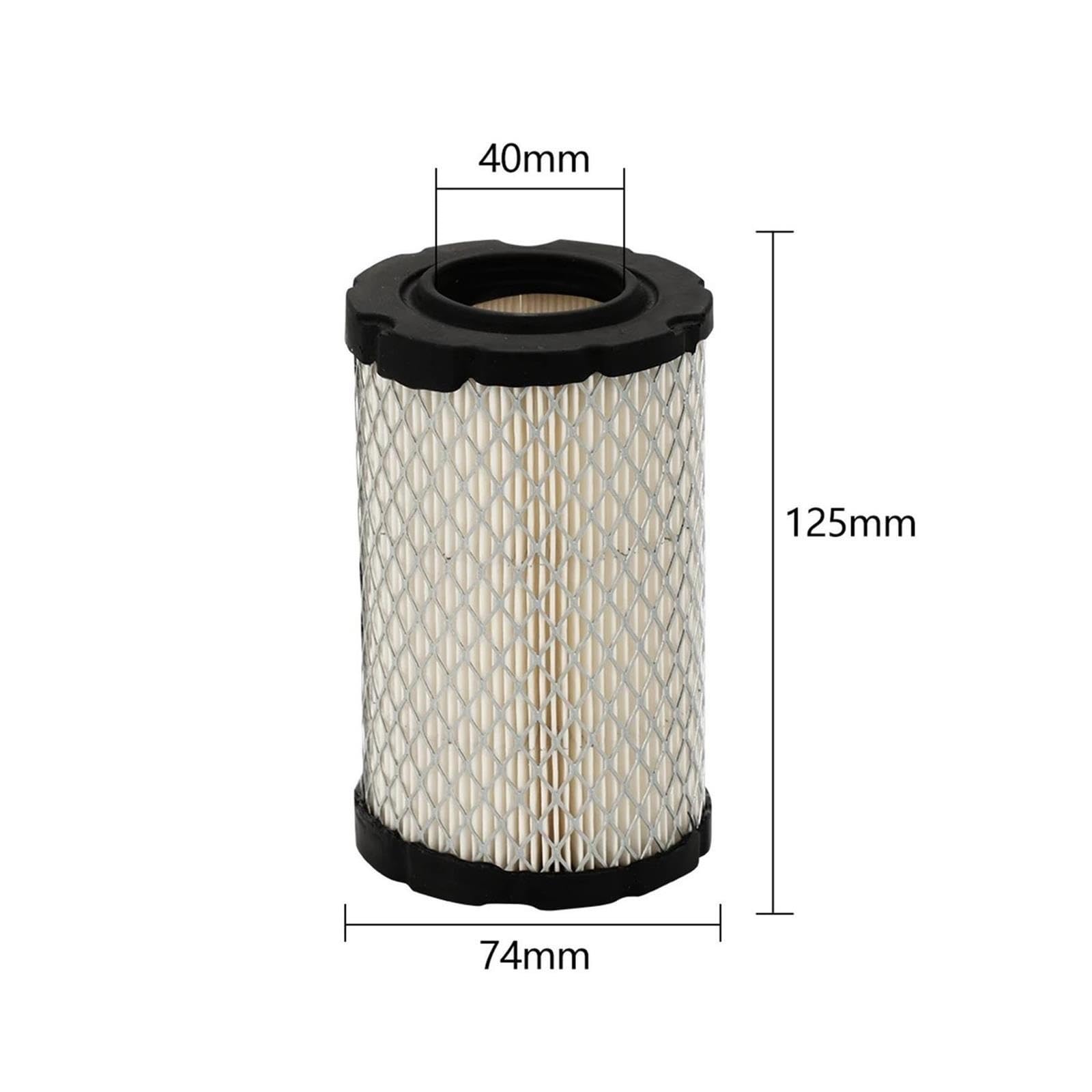 Filtro de Aire, Compatible con Briggs, 796031 594201 797404 591334