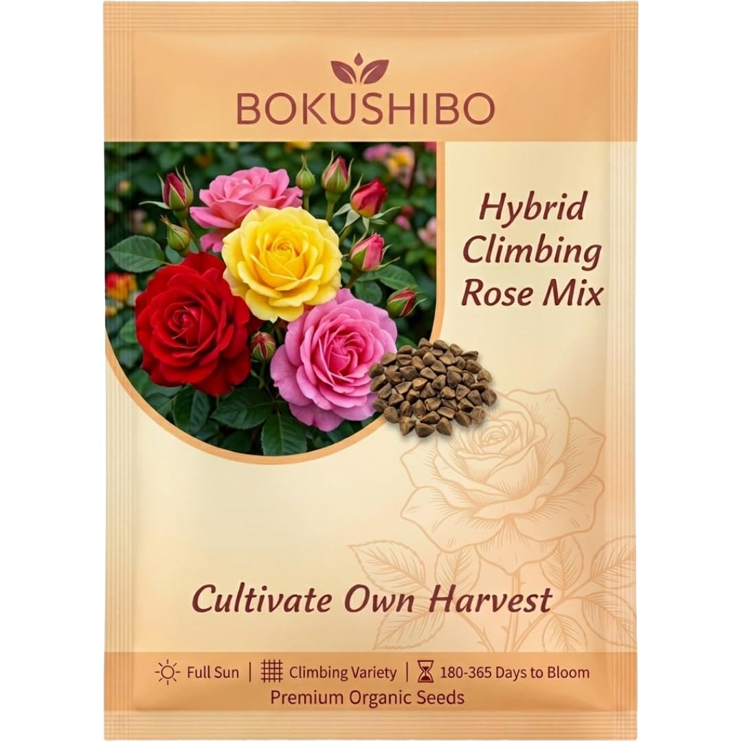 Hybrid Climbing Rose Vine Mix Seeds – Multicolor Fragrant Flower Seeds for Home Garden, Balcony & Outdoor Wall (Cnt. 50+ Seeds)-image-32