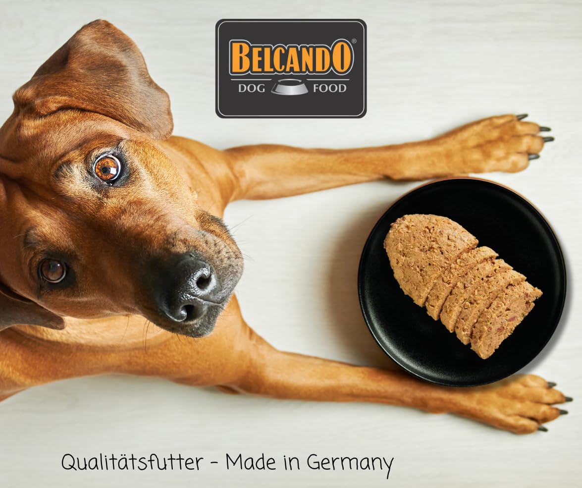 Belcando Finest Selection 24x125g - Hundefutter - Frischebeutel, Ideal für Sensible & wählerische Hunde - ohne Zusätze & Sortenwahl möglich (Wild, Huhn, Truthahn, Rind, Lamm, Kaninchen & Ente)