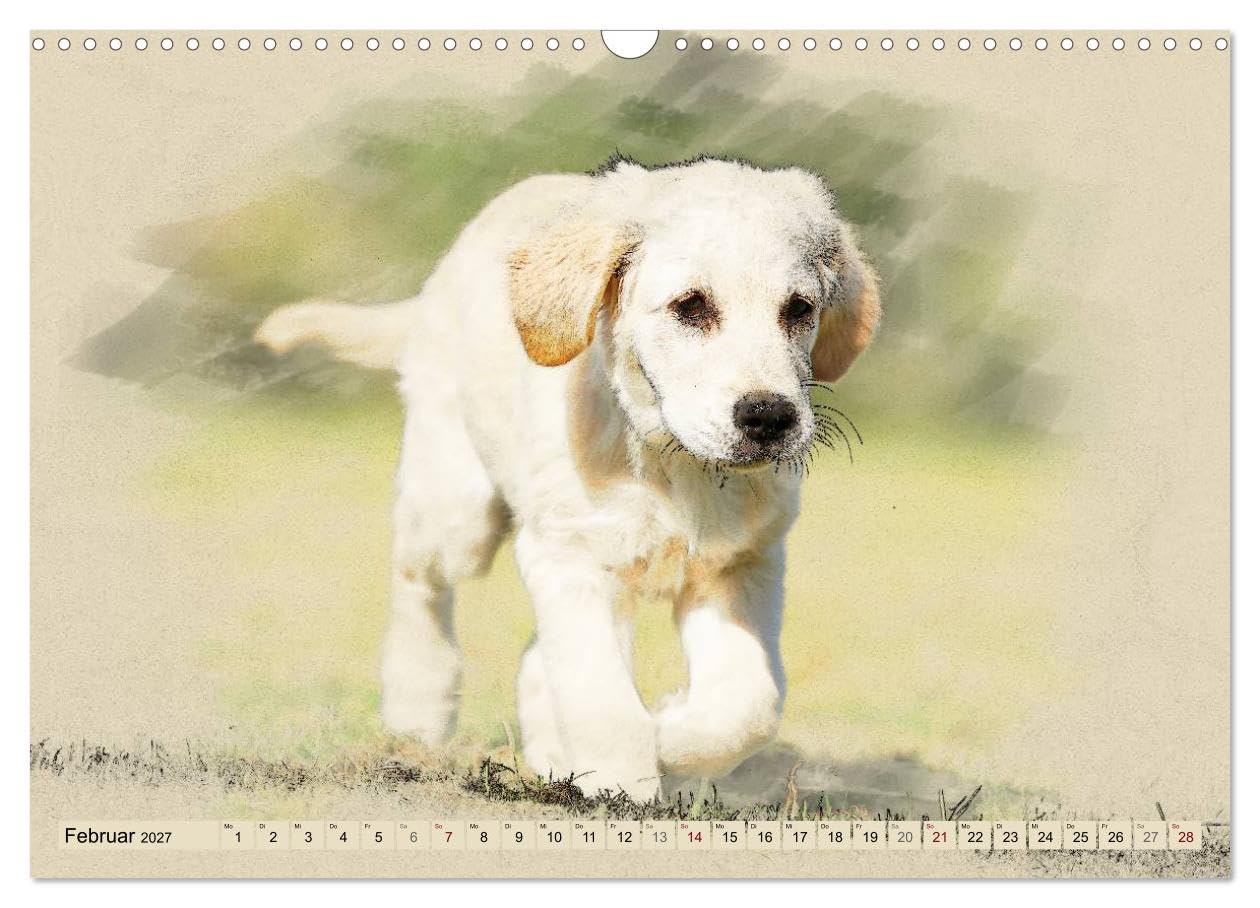 CALVENDO - Golden Retriever 2027 (Wandkalender 2027 DIN A3 quer), Monatskalender: Golden Retriever im kunstvollen Aquarell-Stil. Jedes Monatsmotiv gleicht einem kleinen Kunstwerk