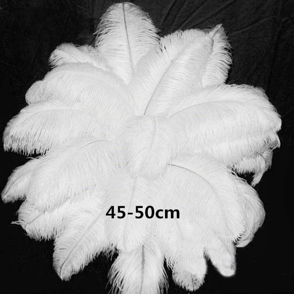 10pcs Naturelles Plumes Autruche Artisanat, 18-20 pouces (45-50 cm) Décor de Plumes de Mariage Vêtements Accessoires, pour Mariage Décoration de La Maison (Blanc)