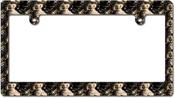 Amazon.co.jp: 浜崎あゆみ ナンバーフレーム 車用 ナンバープレート