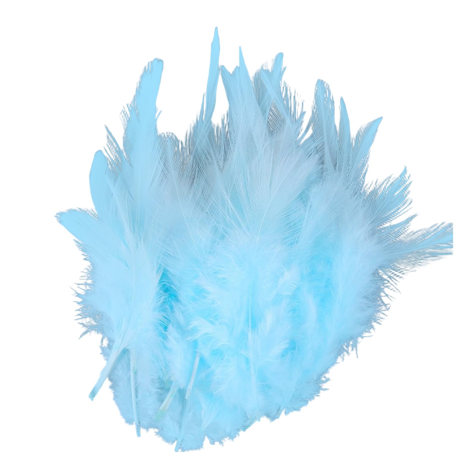 Xinsheinelry 100PCS Delicate Plumage Embellishments for Creative Art Projects Suitable for Clothing Jewelry and Scrapbooking Costume Down Trim