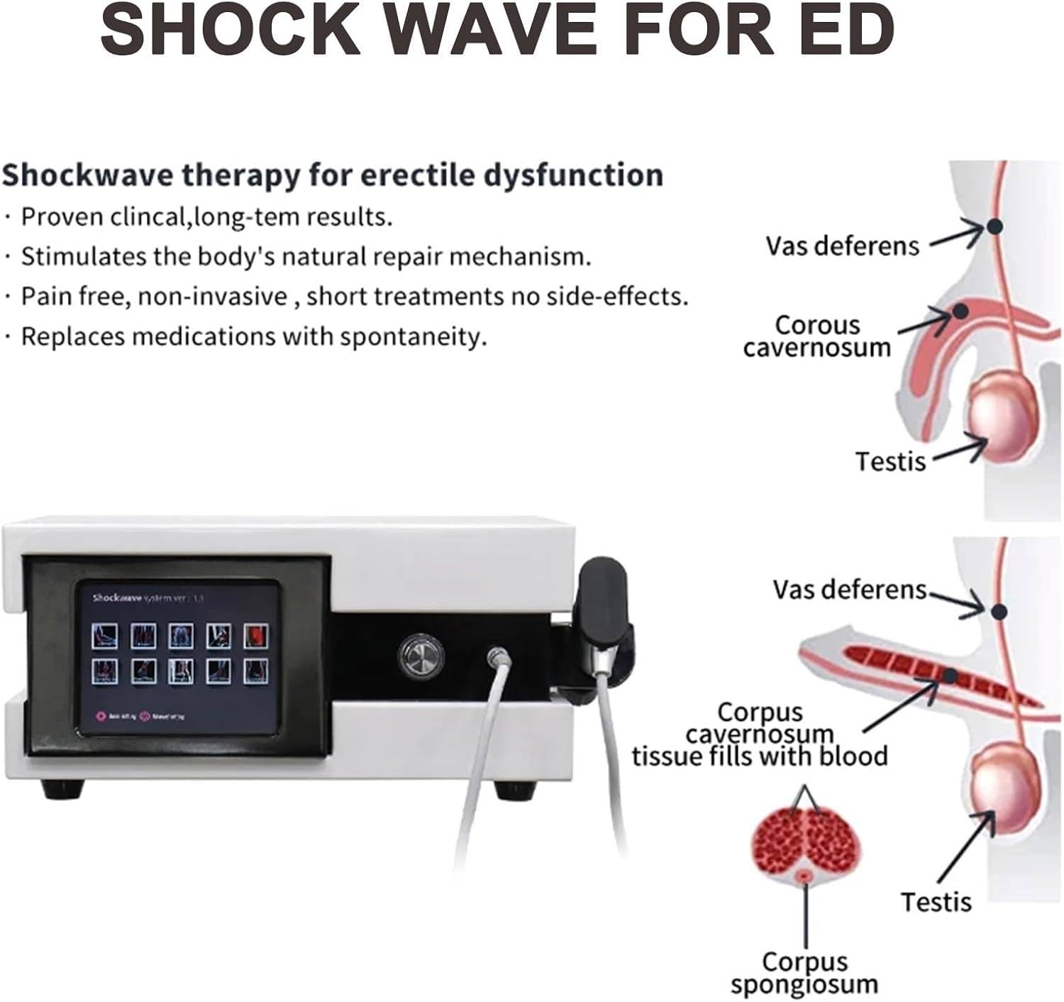 Dispositivo per terapia a onde d'urto,macchina per fisioterapia a onde d'urto,apparecchio per terapia extracorporea a onde d'urto, con schermo touchscreen LCD,per il sollievo dal dolore alla schiena C