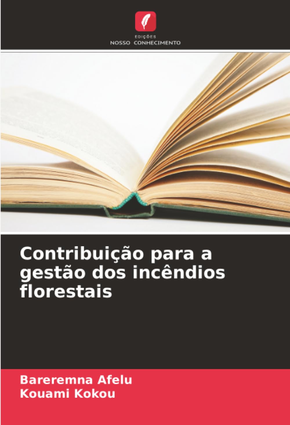Contribuição para a gestão dos incêndios florestais