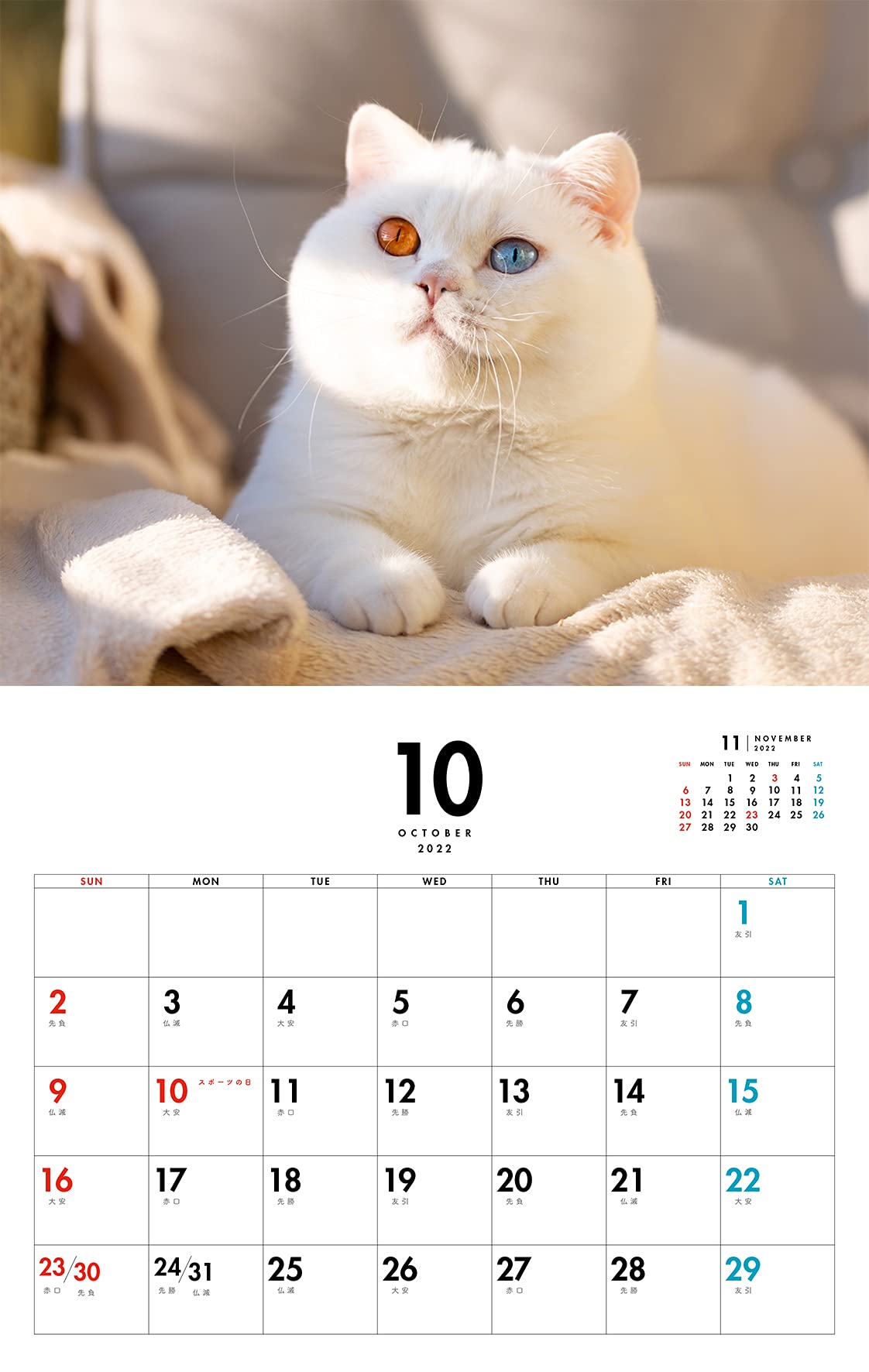 カレンダー22壁掛け まるねこカレンダー 22 ネコ パブリッシング 本 通販 Amazon