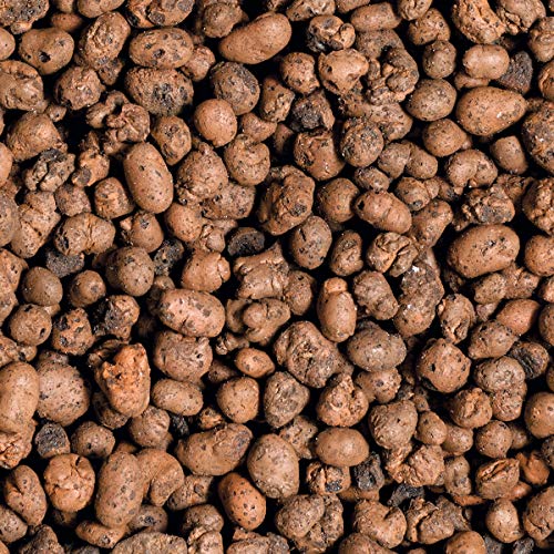 Blähton Steine Die 15 besten Produkte im Vergleich Hausbauberater