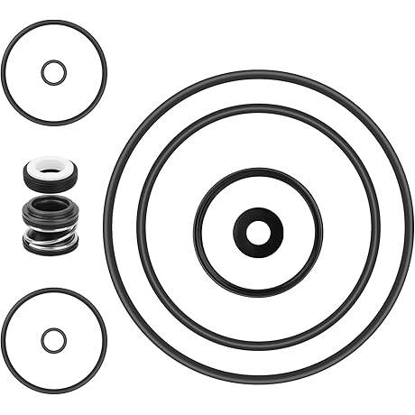 Pentair Replacement Rebuild Kit for SuperFlo and SuperMax