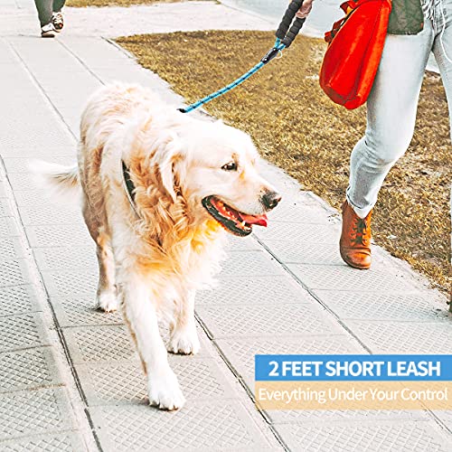 Baapet 2/4/5/6 Ft Dog Leash With Comfortable Padded Handle And Highly Reflective Threads For Small Medium And Large Dogs (2Ft-1/2'', Blue) #TOP5