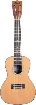 Solid Cedar Top Acacia Concert