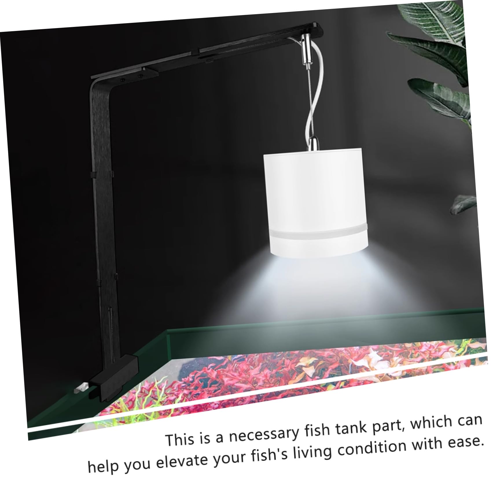 BESPORTBLE 4piezas Soporte Estable Para Luz De Soporte De Luz Para Peceras De Compatible Para Acuáticas y