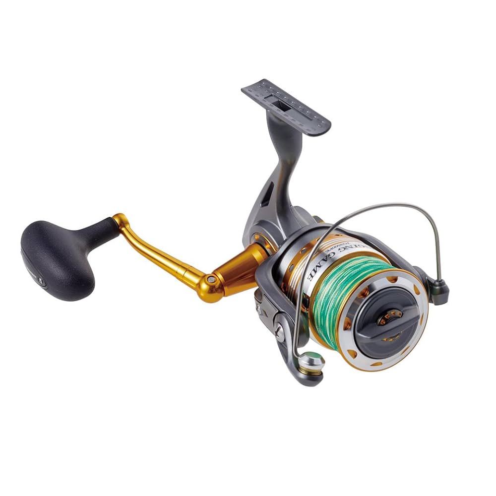 PRO MARINE(プロマリン) リール Amazon | プロマリン(PRO MARINE) リール デジタルフォースDX