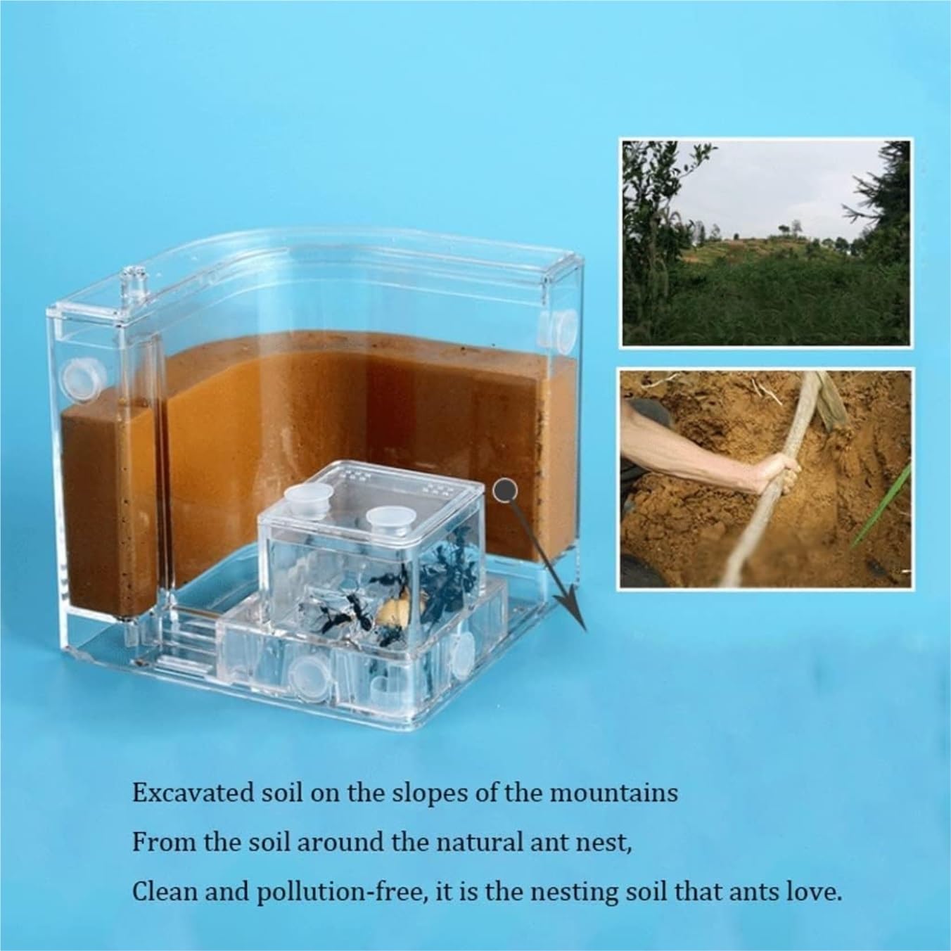 Ferme de Fourmis Nid de Fourmis Maison Château Rempli de Sable d'Argile Professionnel Ant Nest Habitat 1pcs