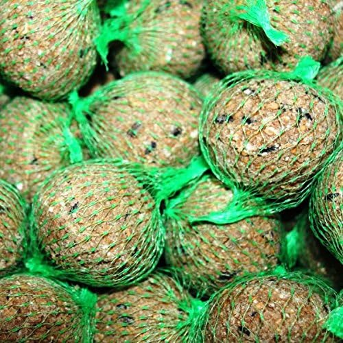 Wie Hängt Man Meisenknödel Ohne Netz Auf 200 FutterXL Meisenkn?del 90g mit Netz : Amazon.de: Haustier