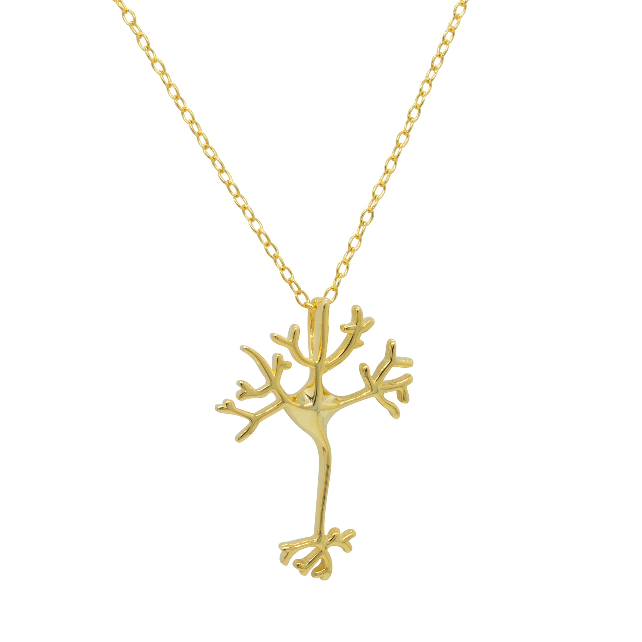 Neuron Nervenzellen Anhänger mit Halskette aus 925 Sterlingsilber in Silber Gold Rosegold 40cm Kette plus 7cm Verlängerung