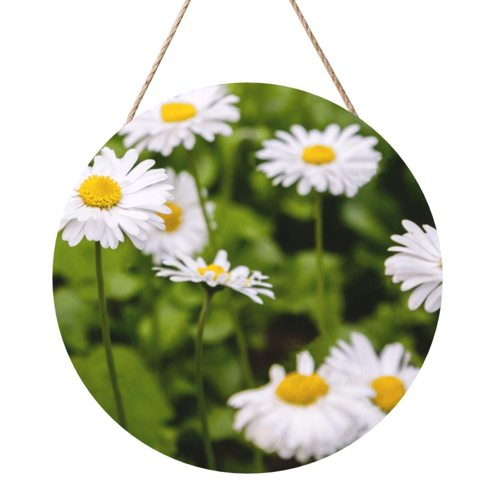 InOmak Bright Flower Lovely Daisy, Round Wood Panel Painting 12 in, Wall Hanging Painting For Home
