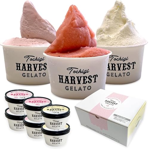 ジェラート「Harvest Gelato」 6個 いちご ミルク ジェラート イタリアンジェラート アイスクリーム アイスセット ギフト スイーツ プレゼント 詰め合わせ セット