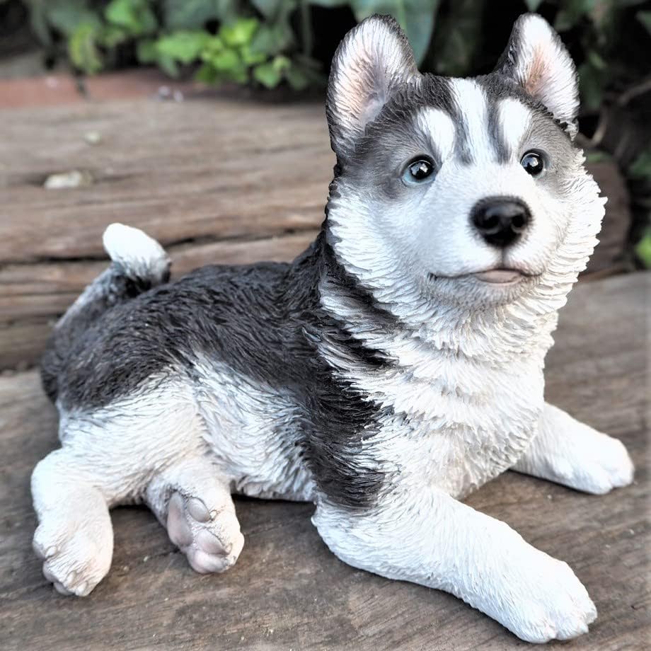 Amazon Co Jp 犬の置物 ハスキー ｔ１４２７０ シベリアンハスキー いぬ イヌ 動物 オーナメント ガーデン インテリア 雑貨 置物 庭 ガーデンマスコット 雑貨小 Diy 工具 ガーデン