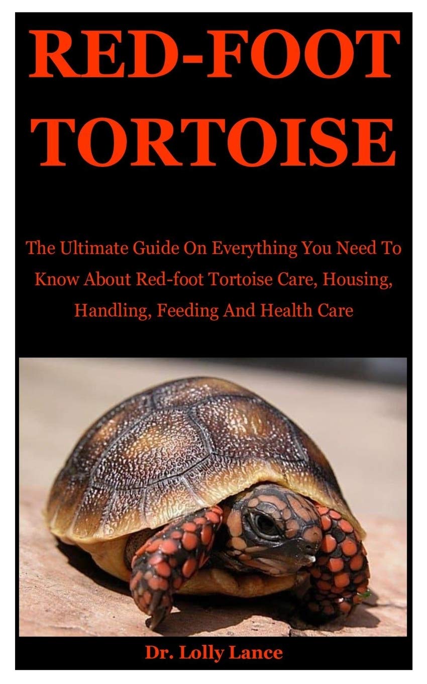 Red Foot Tortoise The Ultimate Guide On Everything You Need