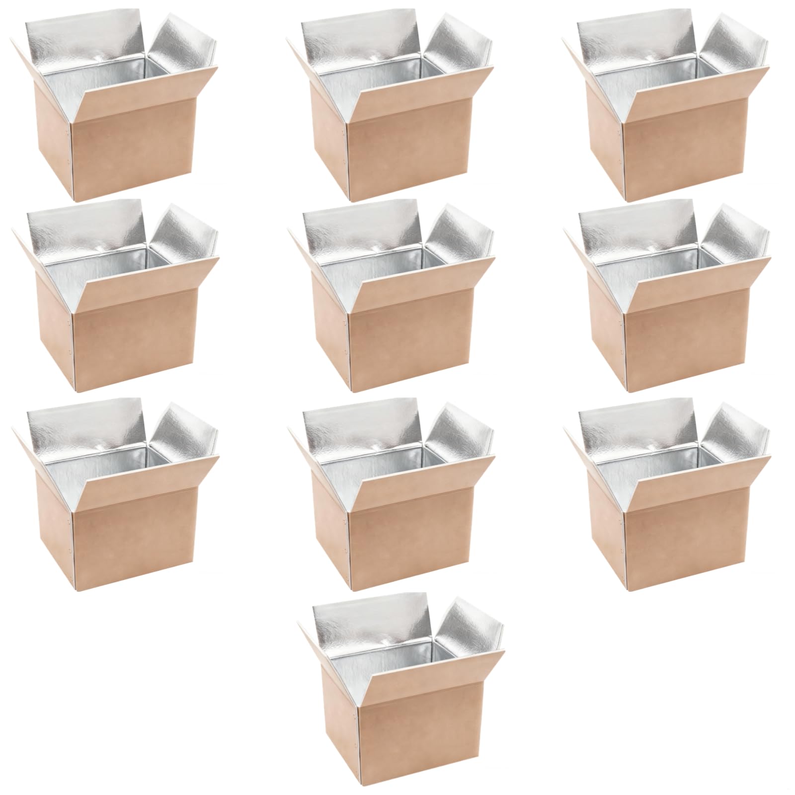 10 Stück Versandkartons, Papierbox für kalte Lebensmittel mit Aluminiumfolienfutter, isoliert für Meeresfrüchte, Gemüse, Obst