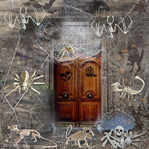 Amazon.co.jp: 動物のスケルトンモデル-魚のスケルトンお化け