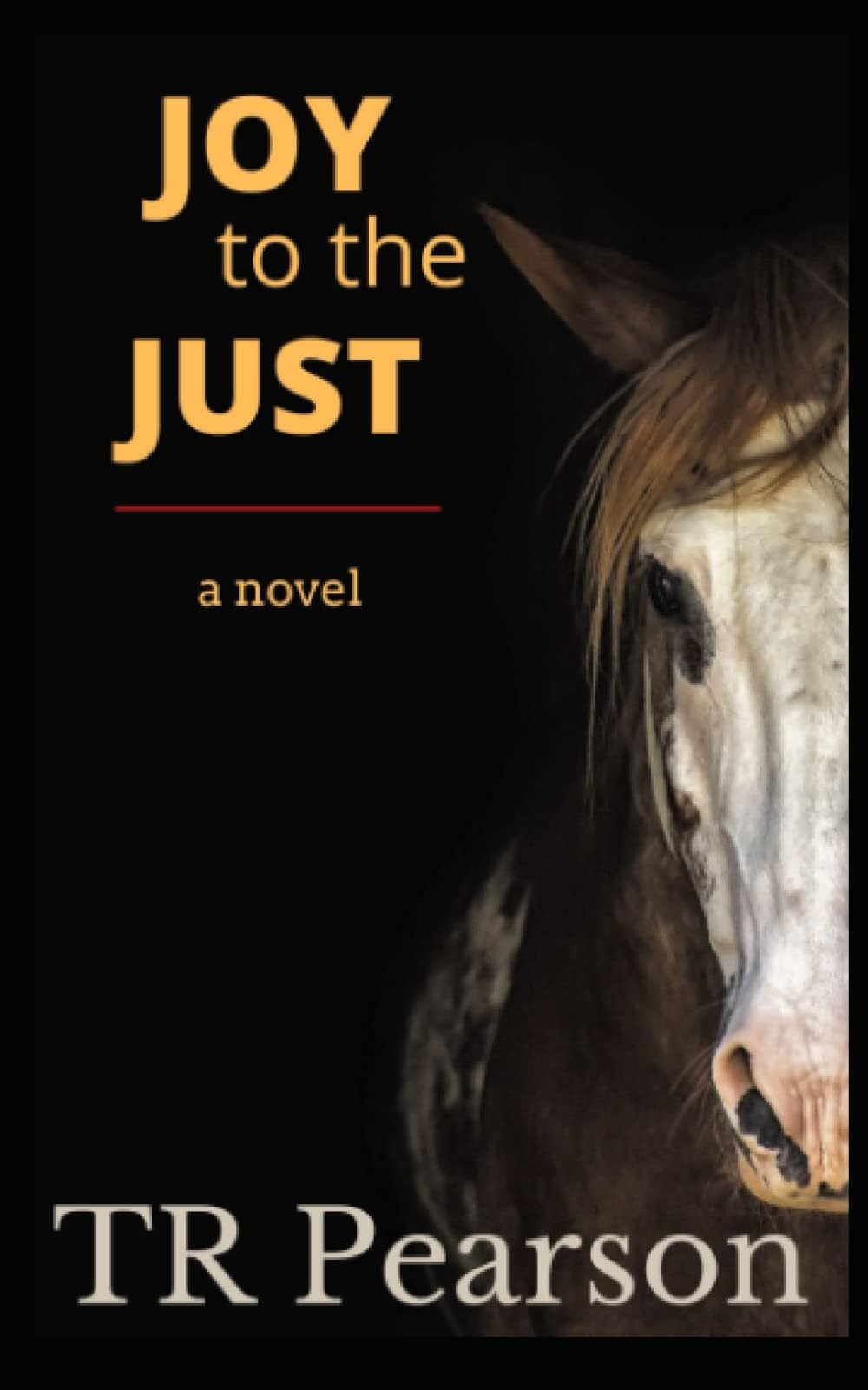 Joy To The Just (A Trio of Westerns) Paperback โ January 14, 2022