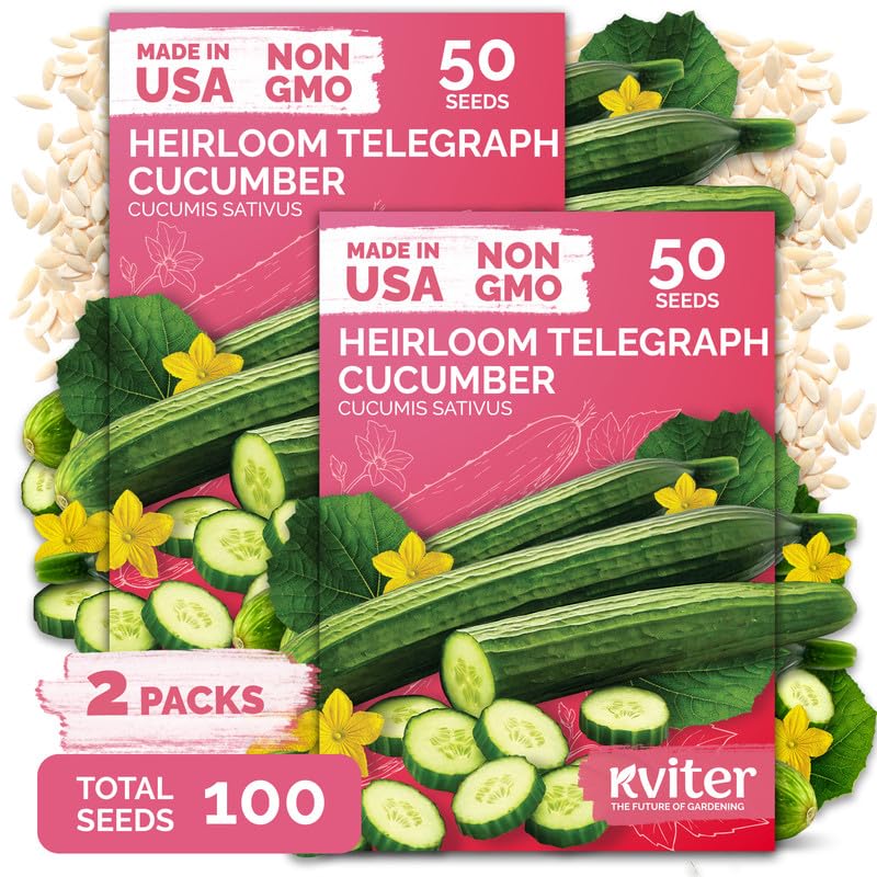 100 English Telegraph Cucumber Seeds