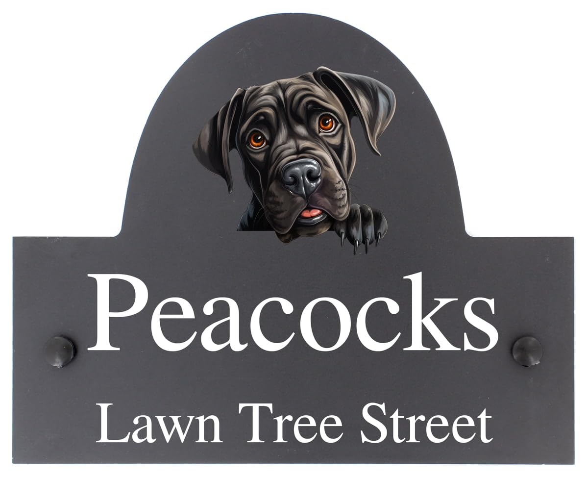Targa personalizzabile con nome o numero civico in ardesia con cane corso, 25 x 20 cm