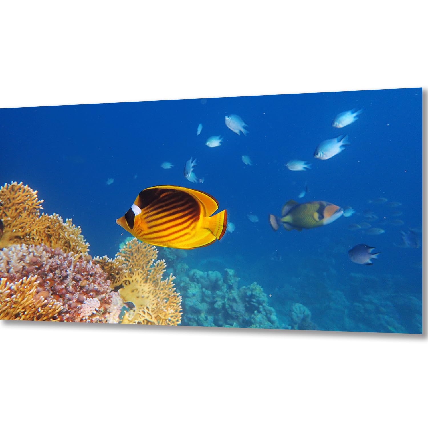 ZGmaxCL Kit Completo 5D Diamond Painting - Cavalluccio Marino E Oceano, 90x50cm, Quadro Moderno Fai Da Te