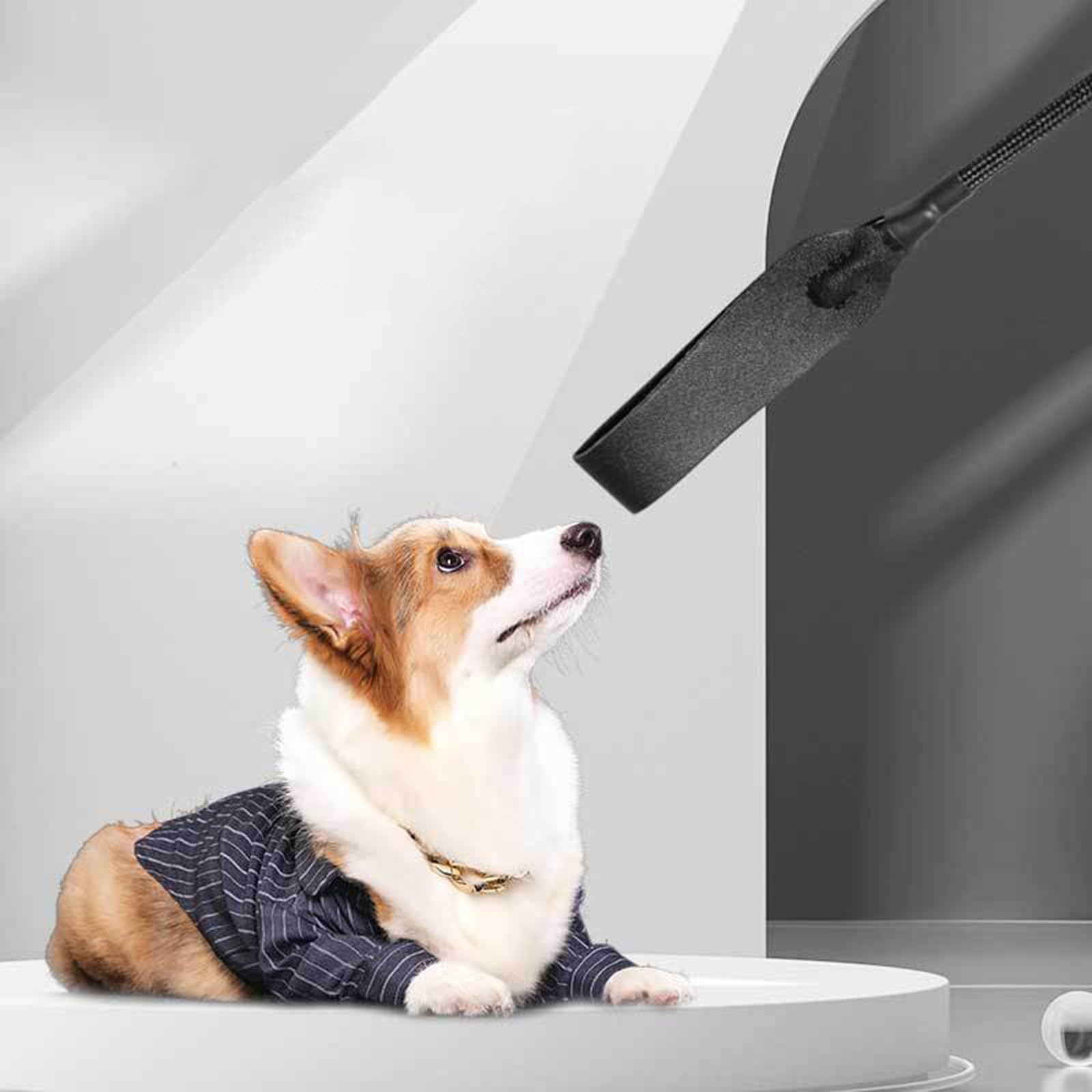 Frustino per cani da addestramento, per cani di grossa taglia