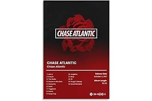 Chase Atlantic Vinyl Record Decoration for Bedroom and Office