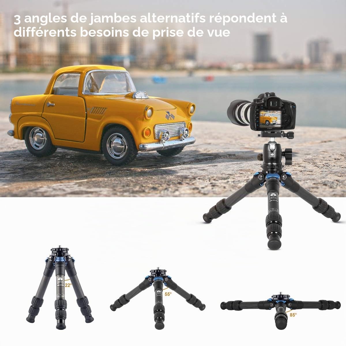 SIRUI AM-223 Mini Trépied en Fibre de Carbone, Portable Trepied Appareil Photo avec Tête Sphérique B-00K à 360° et Plaque à dégagement Rapide Arca Swiss, 12.1" Hauteur pliée, Charge jusqu'à 10kg.