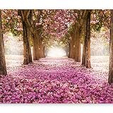 murando Fototapete Weg 350x256 cm Vlies Tapeten Wandtapete XXL Moderne Wanddeko Design Wand Dekoration Wohnzimmer Schlafzimmer Büro Flur Blumen Bäume Park Allee rosa braun c-A-0031-a-b