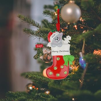 Cat Stocking Christmas Ornament 2026, Personalized Kitty Christmas Ornament with Custom Name, Kitten First for Cat Lovers